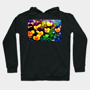 Pansies 12 Hoodie